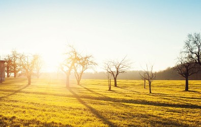 De Teams bij Ricardo
